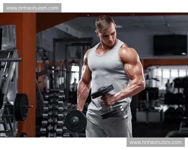 肌肉增生的科学原理与训练方法解析助你打造强健体魄